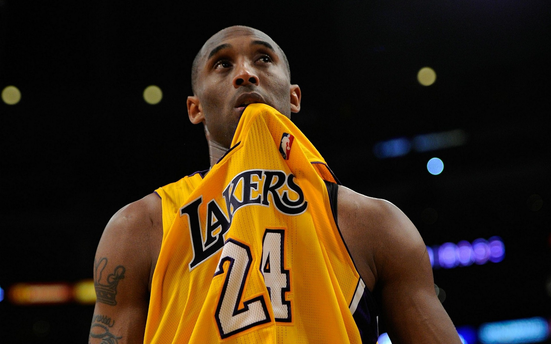 凯塞多从布 凯塞多从布